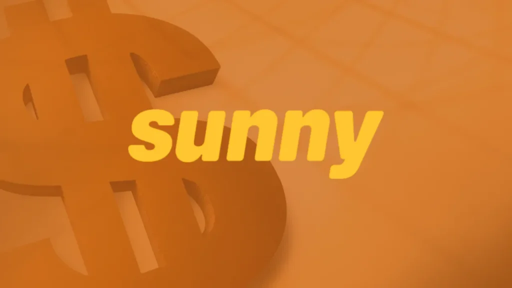 How Sunny Loans Works: Apply, Accept, Get Paid!
