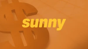 How Sunny Loans Works: Apply, Accept, Get Paid!