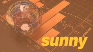 Sunny Loans: Speedy Short-Term Loans Without Credit Impact