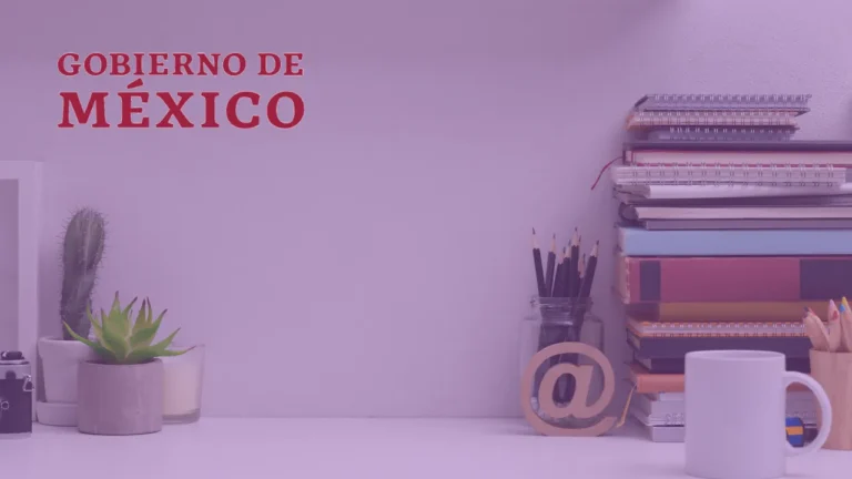 Scholarships for Single Moms: Your Guide to a Brighter Future